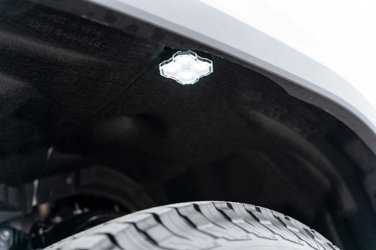 Stage Series Single Color LED Rock Lights by Diode Dynamics (2 pack)